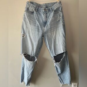 American Eagle Curvy Mom Jean